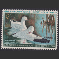 Picture of Lot #31253